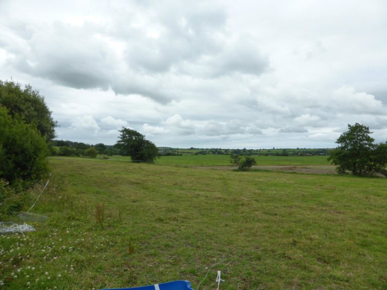 13735560 861818577284533 2564093001617392597 o 1 768x576