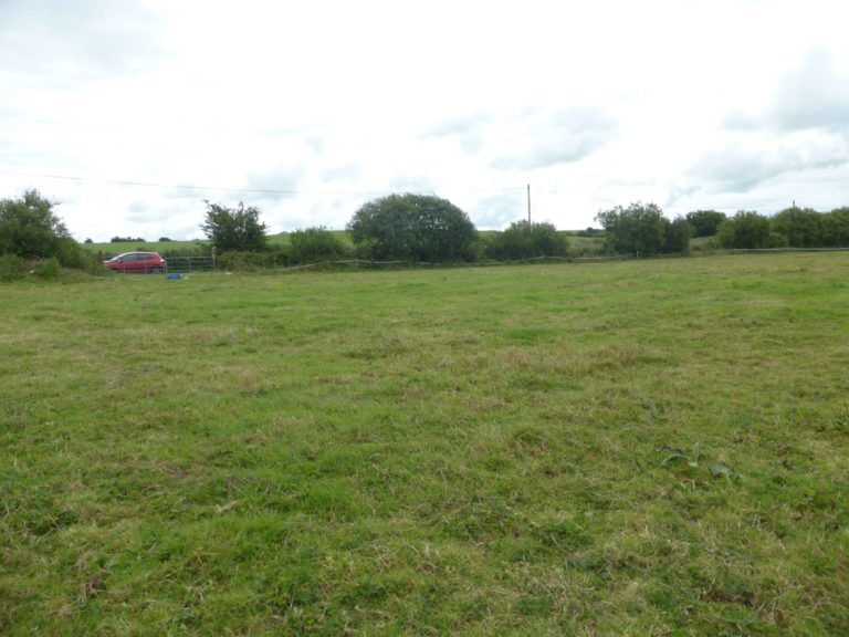 13765734 861819297284461 7463453692198643281 o 1 768x576