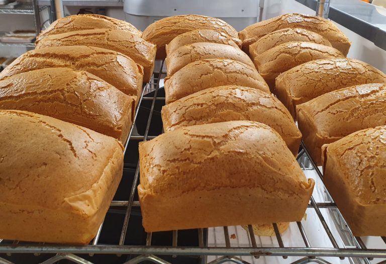 89074052 2287802641362308 5204244428415303680 o 1 768x527