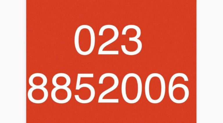 92895514 2636372006638100 1154097878969352192 n 1 768x426