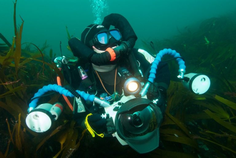 JC 200609097795 768x514