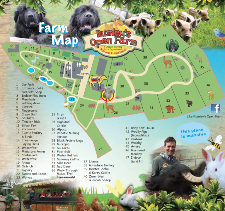 Screen Shot 2018 06 30 at 17.21.35 768x722