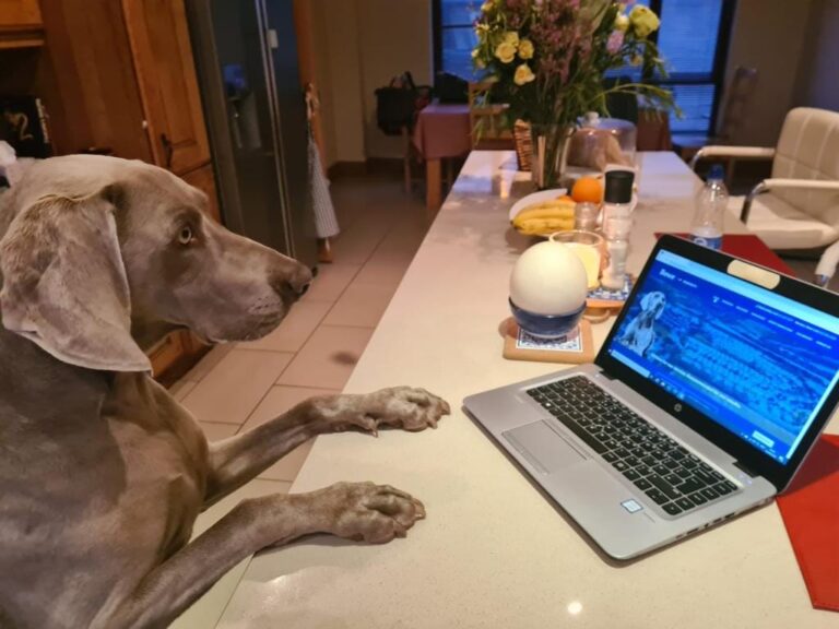 118786907 2721585451448717 3937599917407001970 o 1 768x576