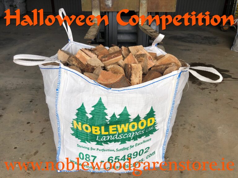 122320958 3431915680222531 7084865509223153627 o 1 768x576