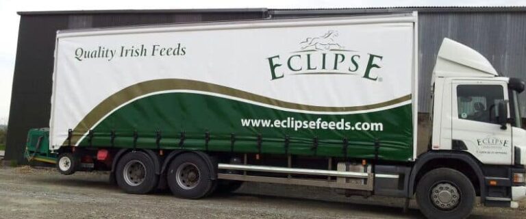 88010573 105696364370214 1997198752288342016 n 1 768x320